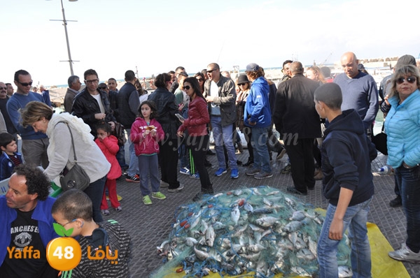 samak denisss (16).JPG